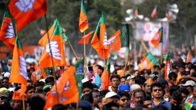 Maharashtra election results: BJP asserts dominance in urban pockets within hours of counting