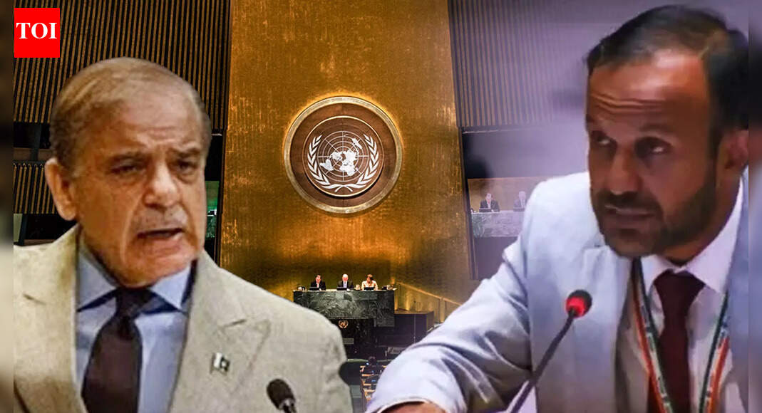 India Blasts Pakistan At United Nations For Pushing Divisive Kashmir Agenda And Spreading Falsehoods