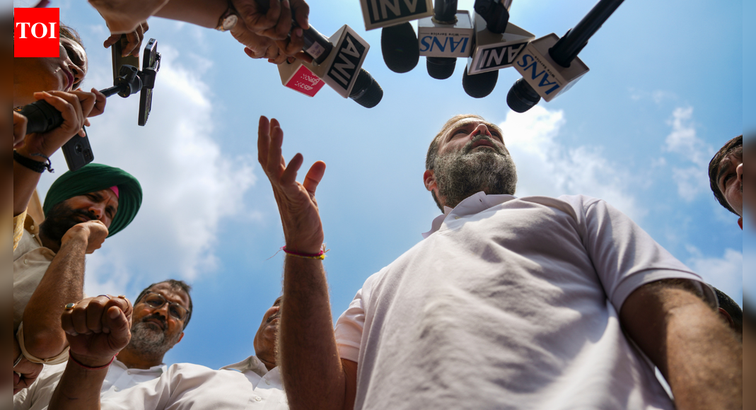 Indelible ink row: Rahul Gandhi accuses EC of ‘gaslighting’ voters - What does it mean?