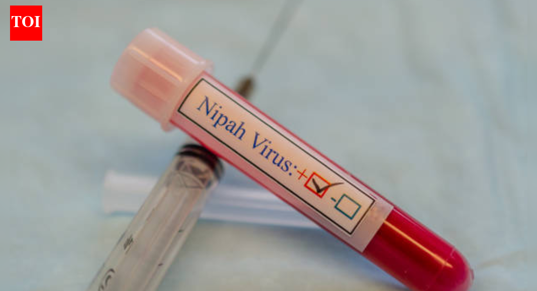 Nipah virus has a high fatality rate: Doctor shares what makes the virus dangerous and what is the timeline of the infection