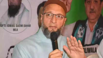  AIMIM's Mehzabin Khan wins first BMC seat; party gains multiple wards across state
