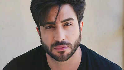 Aly Goni urges Laughter Chefs’ fans not to troll anyone; says, “Not every show is Bigg Boss”