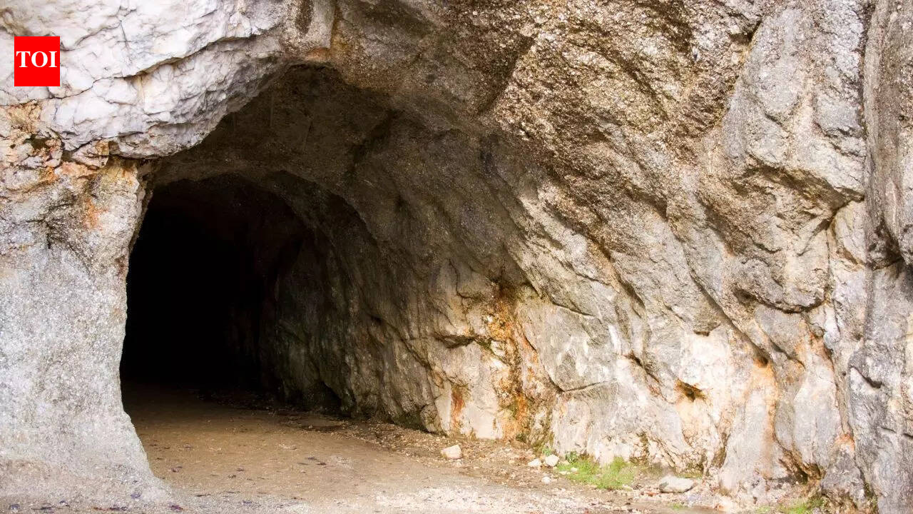 Almost human-like creatures may have lived alongside humans in the Leang Bulu Bettue caves