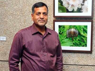 'Should not exist': Former election commissioner Ashok Lavasa on legal immunity to CEC, ECs; calls it 'extraordinary protection'