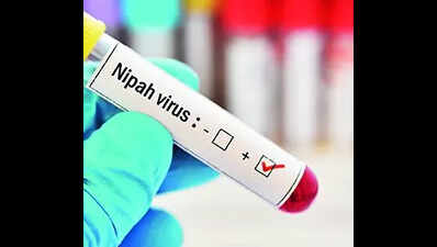 Nipah alert sounded for districts bordering Bengal