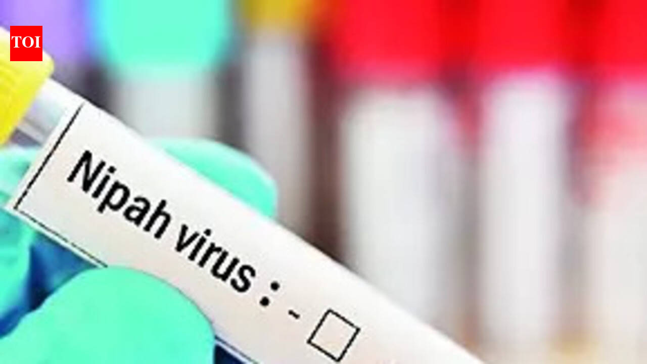 Nipah alert sounded for districts bordering Bengal