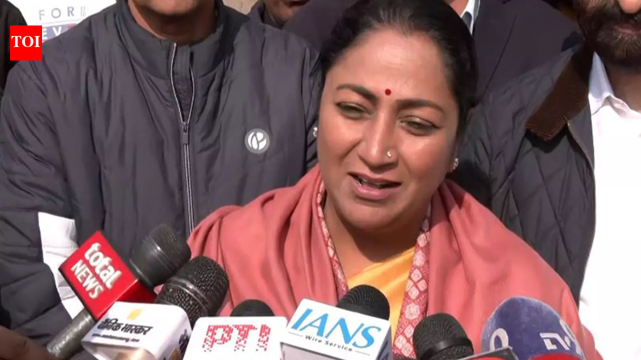 'Wonderful event that brings us all together': Delhi CM on 3rd International Kite Festival