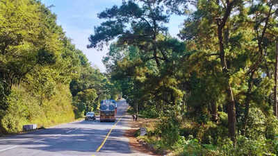  Why I will never go on one ever again