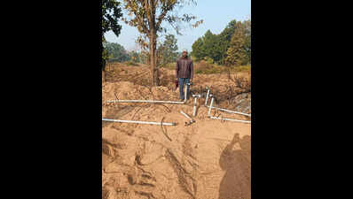 Hazaribag Elephant Rampage: Crops Damaged, Villagers Fearful as Lone Jumbo Returns