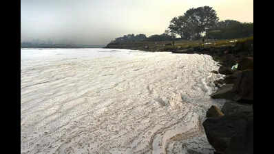 How These Three Dams May Boost Water Flow In Yamuna