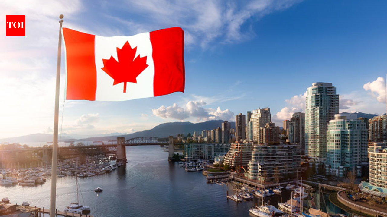 ‘I am in Pakistan. I need a job’: Man’s plea for Canadian sponsorship, visa goes viral on social media