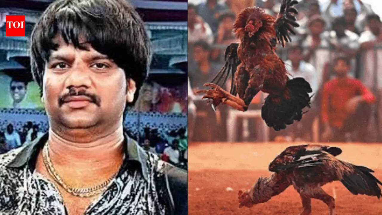 Costliest cockfight: Andhra Pradesh man wins Rs 1.53 crore in Tadepalligudem; highest-ever betting on Sankranti