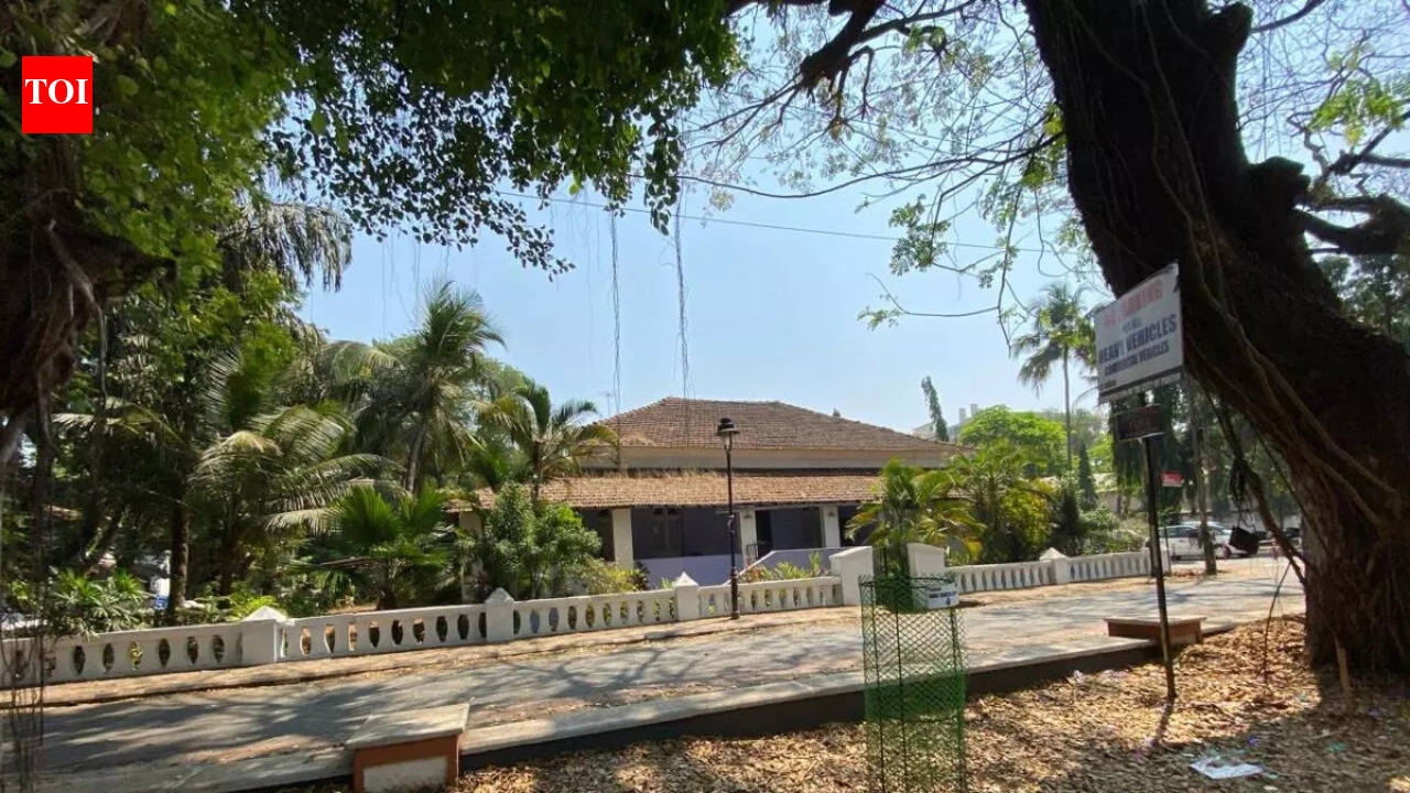 "I dragged my luggage in scorching sun, till my hands bled": A Goa experience I don’t want to remember