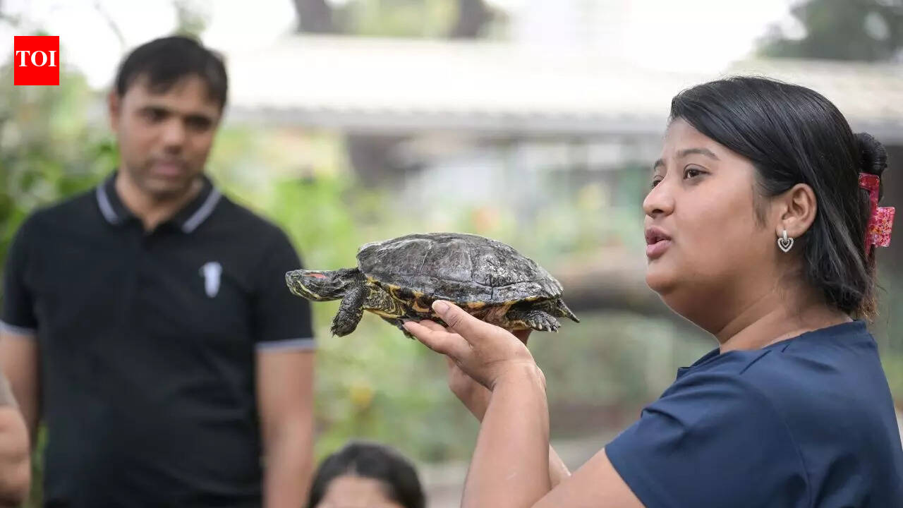Animal petting, open spaces boost Punekars’ mental wellness