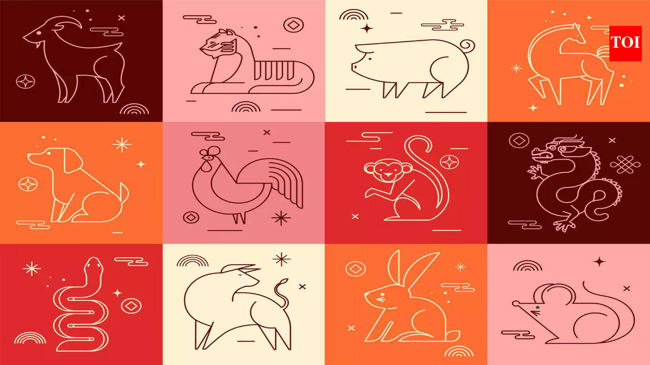 Chinese Zodiac Daily Horoscope, January 20, 2026: Major Energy Shifts Ahead  for Dragon, Ox, and Monkey Signs - The Times of India