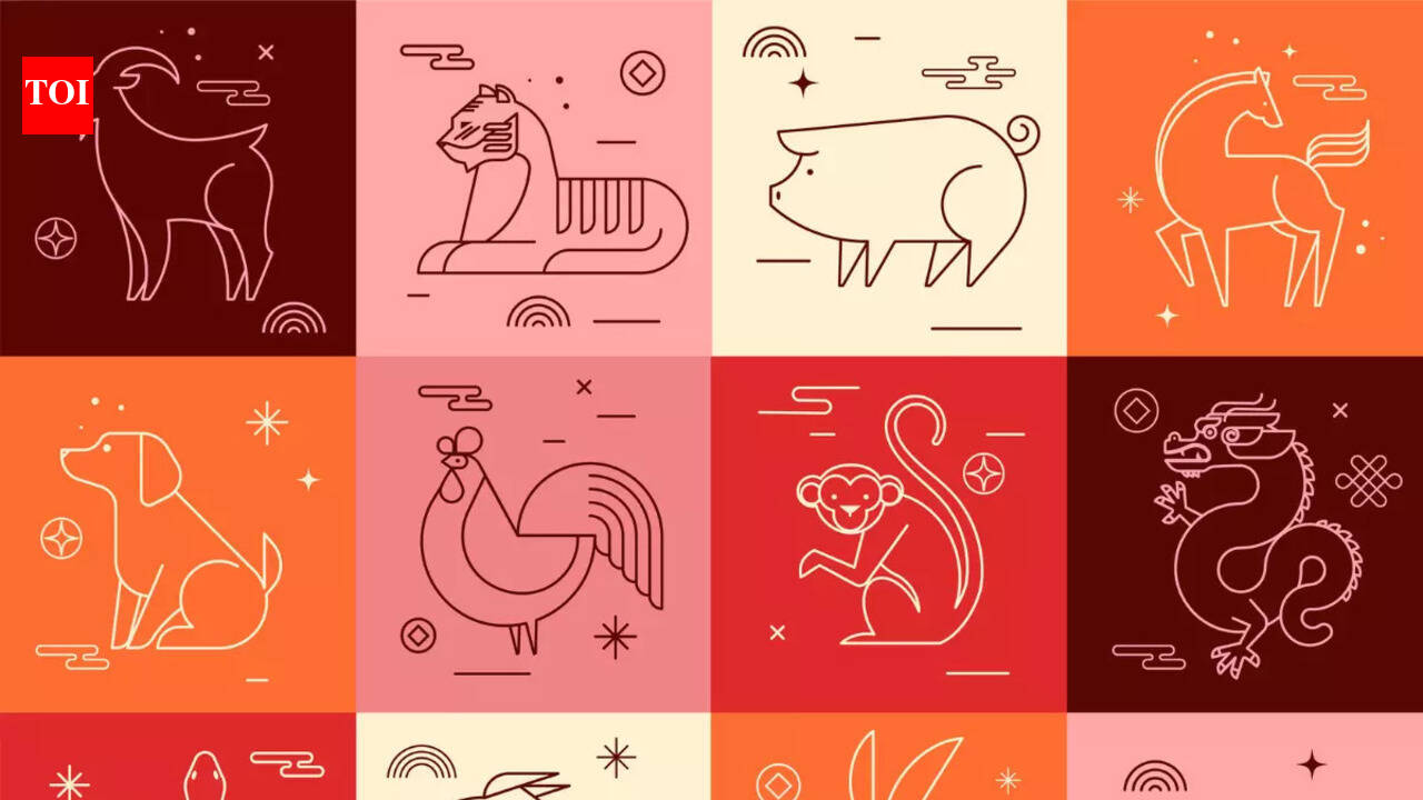 Chinese Zodiac Daily Horoscope, January 20, 2026: Not everything is what it seems; these zodiac signs must read between the lines