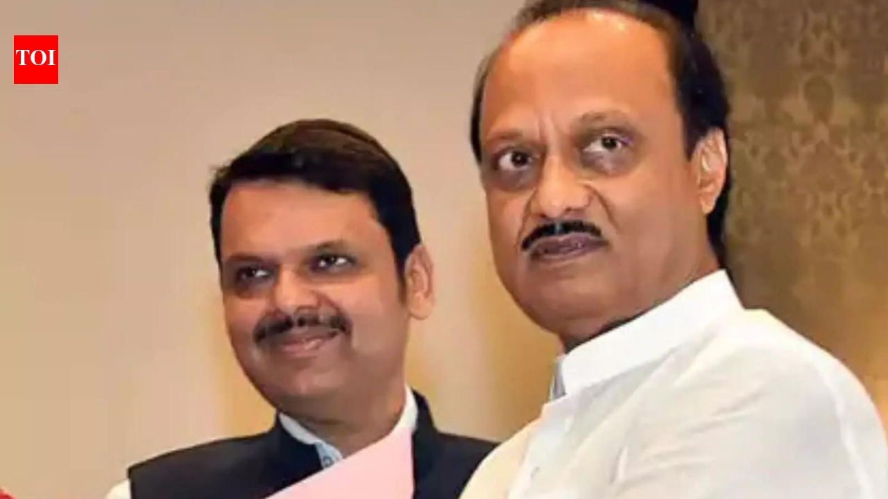 'People haven't rejected Ajit dada, rather ... ': Fadnavis on Pune win; hails leadership of PM Modi