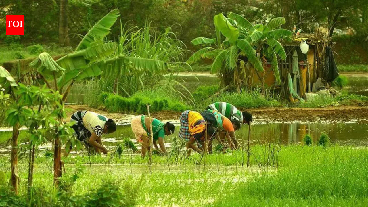 Mollekars oppose land encroachment for Farmagudi fortress project