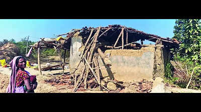 West Singhbhum villages seek higher compensation in deaths caused by elephants