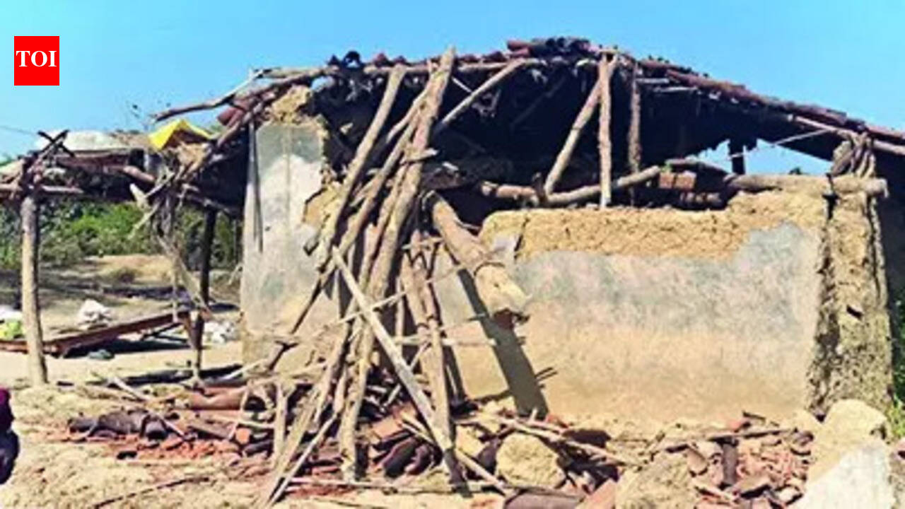 West Singhbhum villages seek higher compensation in deaths caused by elephants