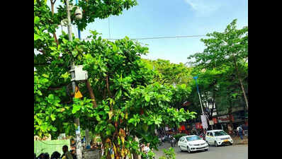 Vehicular movement curbs on Deccan, Karve Road & Ganeshkhind Road tomorrow, schools shut too in these areas