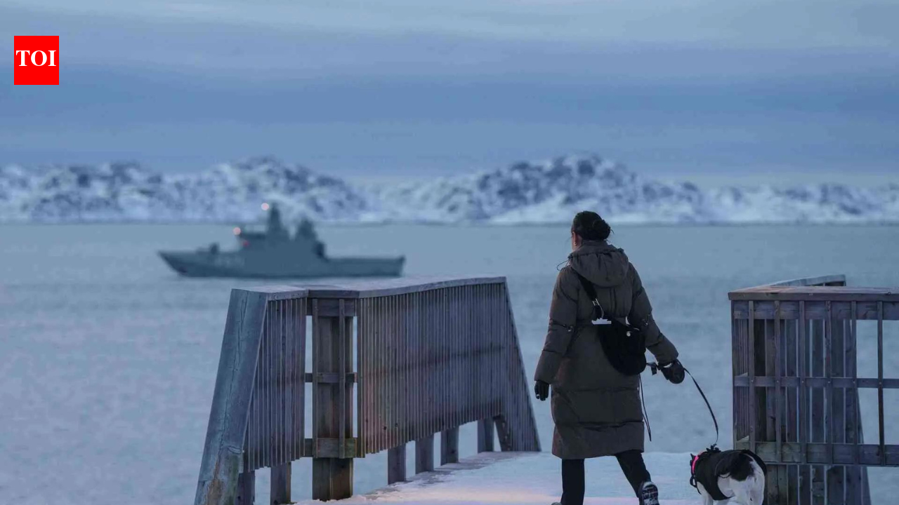 'It's a surprise': EU leaders warn against Trump's tariffs linked to Greenland bid; cite risk to relations