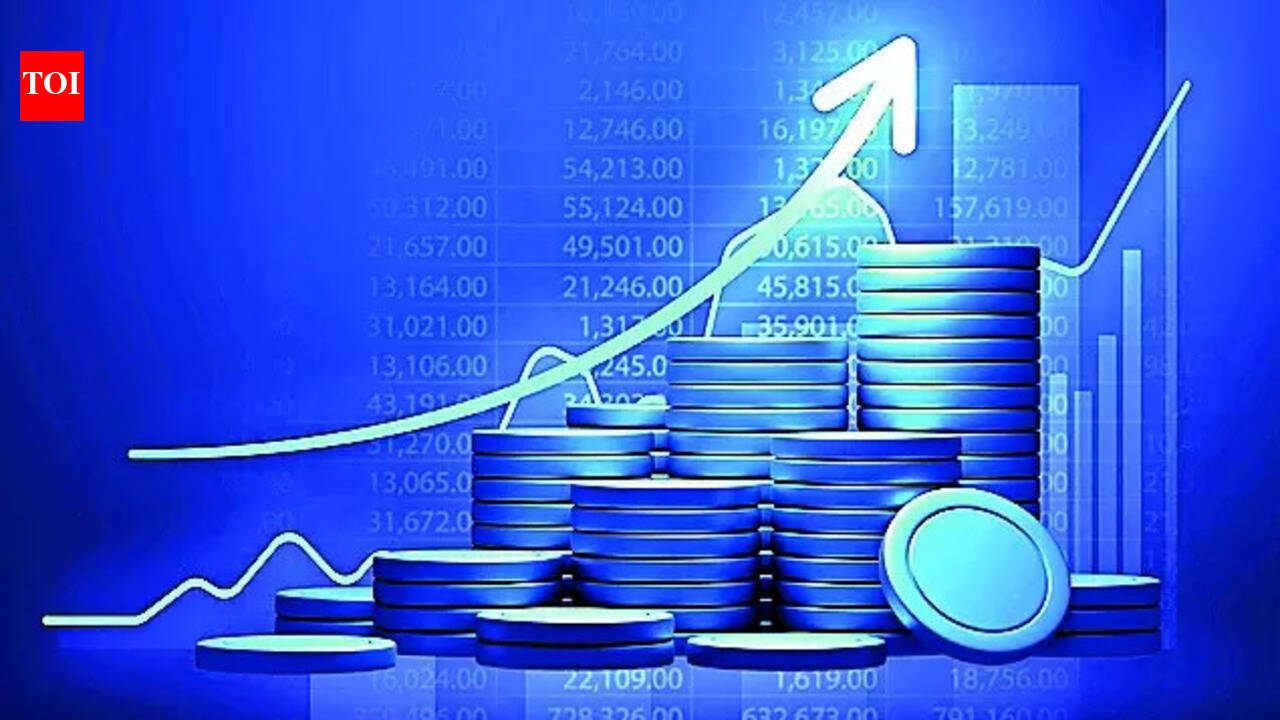 Netweb Technologies Q3 profit more than doubles to Rs 73 crore