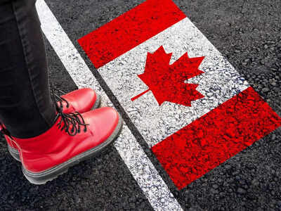 IRCC rules out changes to PGWP-eligible courses in Canada: Here is what students need to know