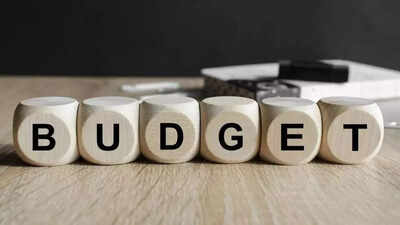 Budget 2026 outlook: ICRA flags focus on debt consolidation; capital expenditure push to continue