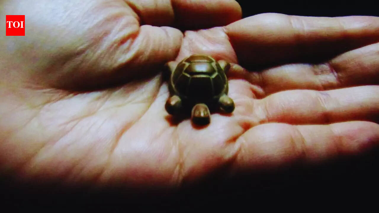 Not just a decor item: What is the right way to place a Feng Shui turtle at home