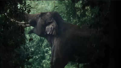 ‘Kattalan’ makers REVEAL real elephants were used in the film, NO CGI