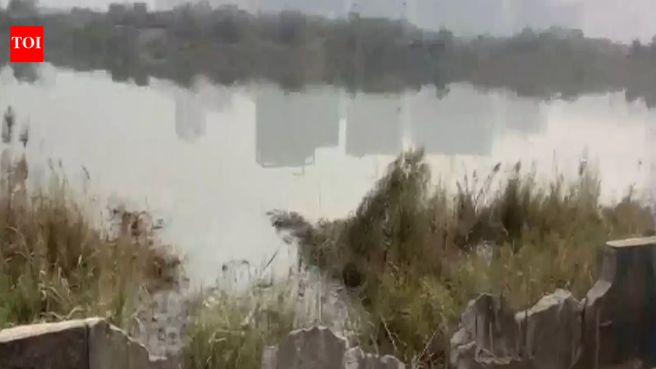 Noida techie's death: FIR lodged against two builders