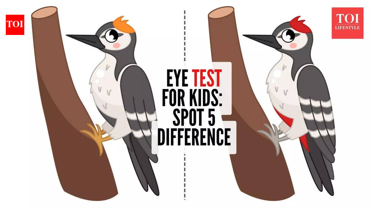 It takes less than 5 minutes: Why this simple spot the difference challenge helps kids think better