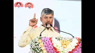 Naidu warns opposition against disturbing law and order in AP