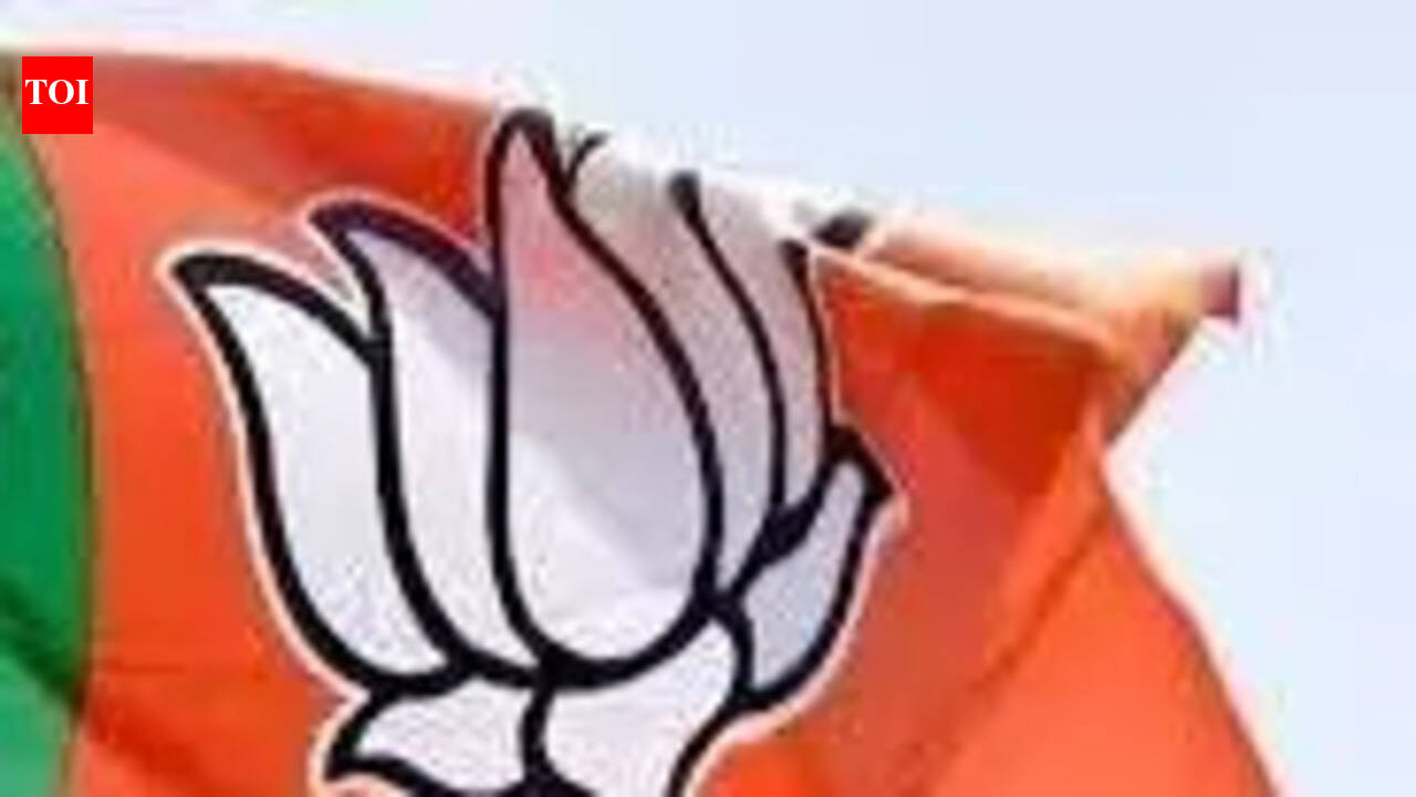 TN BJP forms panel to draft poll manifesto