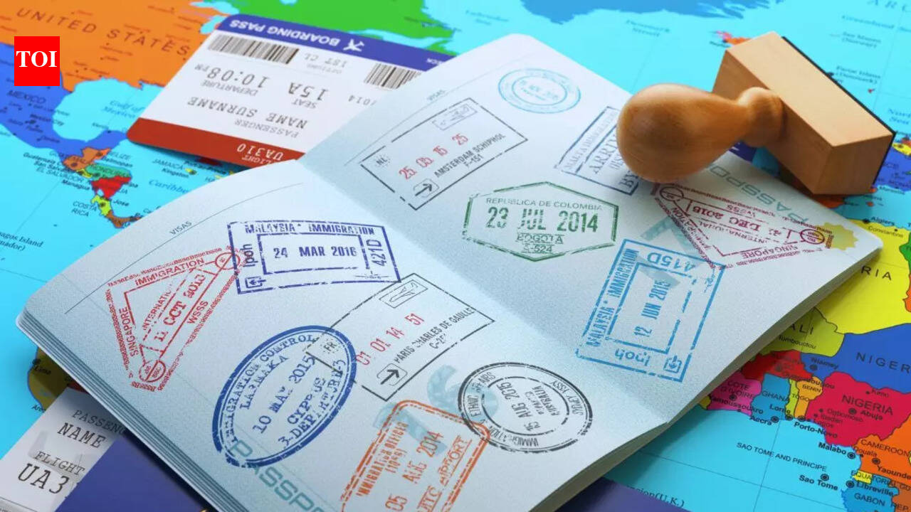 On average, 5 foreigners deported from Goa a month for staying without valid documents