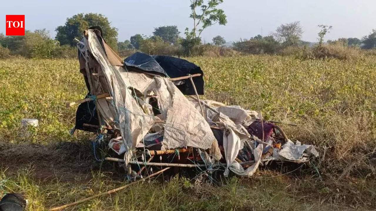 Farmer killed by wild elephant when guarding crops in Dharmapuri