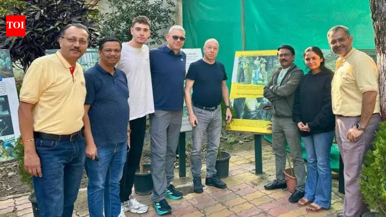 Israeli dentists volunteer to perform dental implant on tiger in Nagpur | Nagpur News