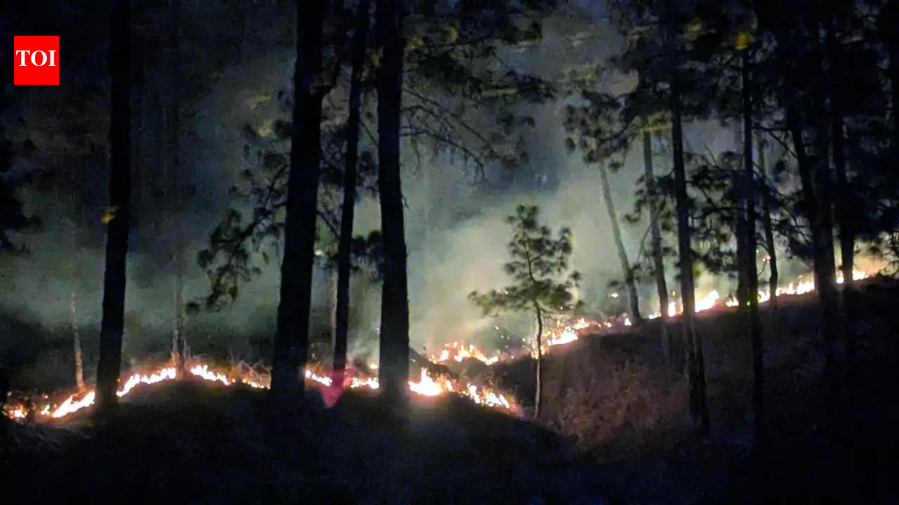 When winter burns: Uttarakhand to Kashmir, Himalayan forests are catching fire out of season