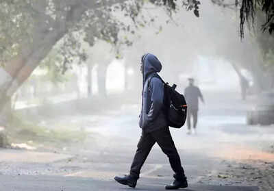 UP school timings revised in Gautam Buddh Nagar due to dense fog; check official notice here