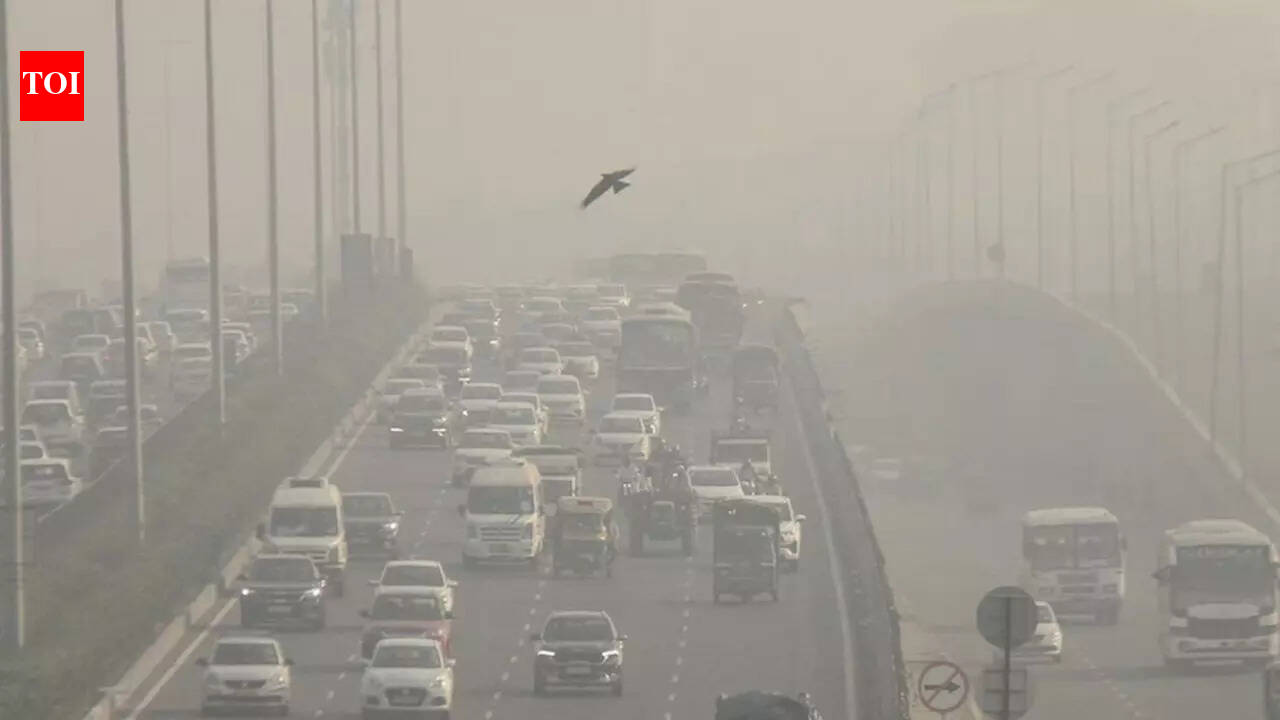 New Delhi Weather Forecast: Sunny Skies, Lingering Pollution Concerns
