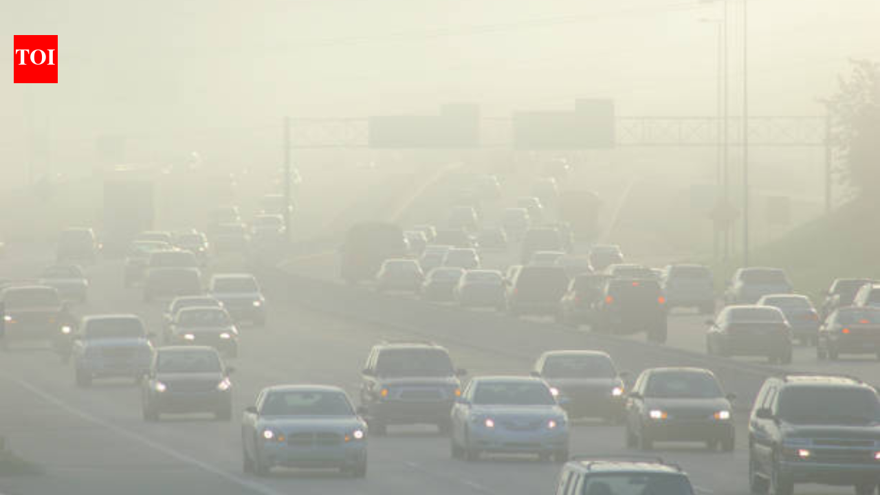 Air pollution linked to high BP in children: Doctor explains