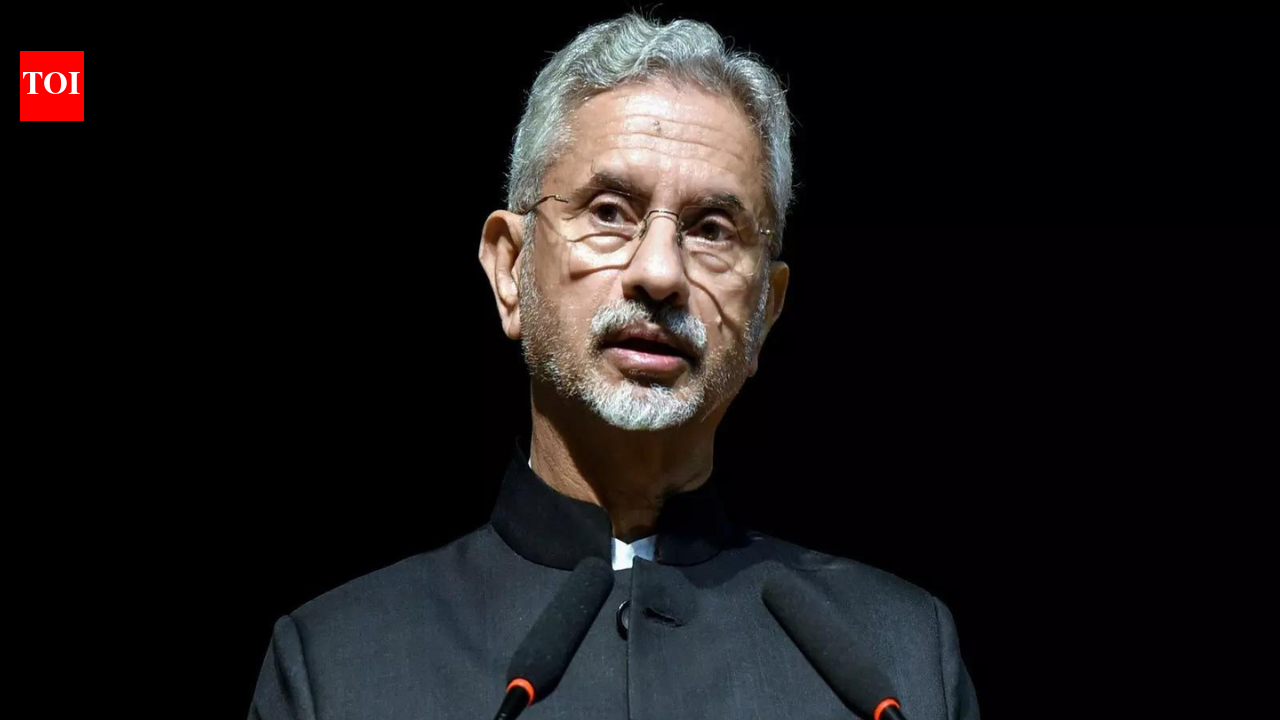 'Don't fuel terror': Jaishankar's blunt request to Poland deputy PM; watch