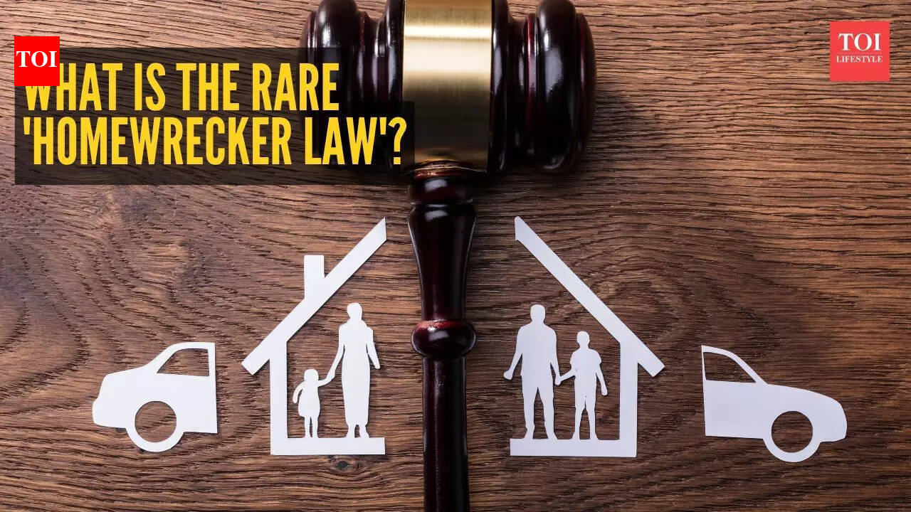 Former US Senator Kyrsten Sinema sued under rare 'Homewrecker Law' - What you need to know