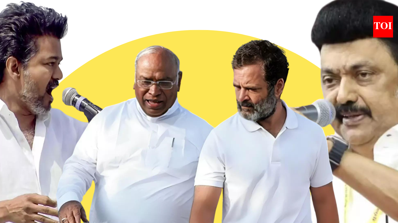 டிஎம்கே அல்லது தமிழர் காட்சி? தமிழ்நாடு சட்டப்பேரவை தேர்தலுக்கு முன் காங்கிரஸ் கூட்டணித் திக்குமுக்காட்டை பகுப்பாய்வு