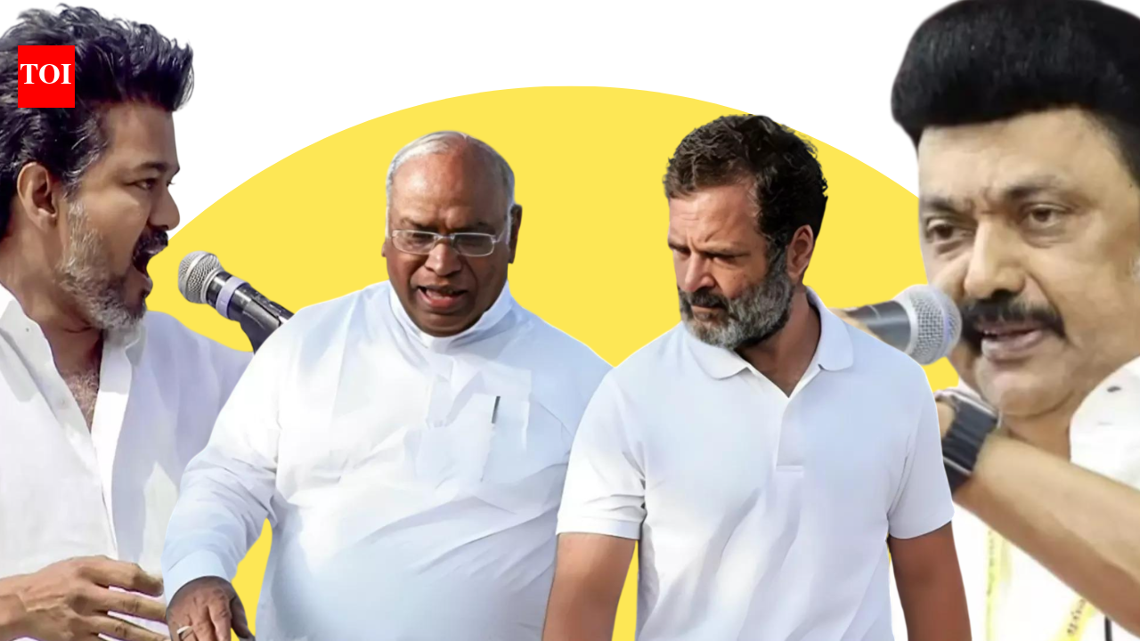 Tamil Nadu elections: 5 reasons why Cong should dump DMK, join TVK