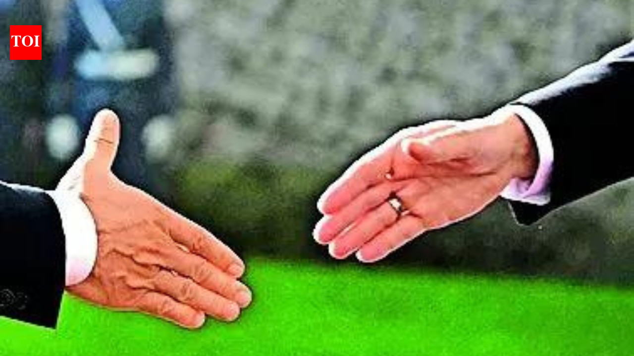 India Inc gears up to deal with sanctions risk