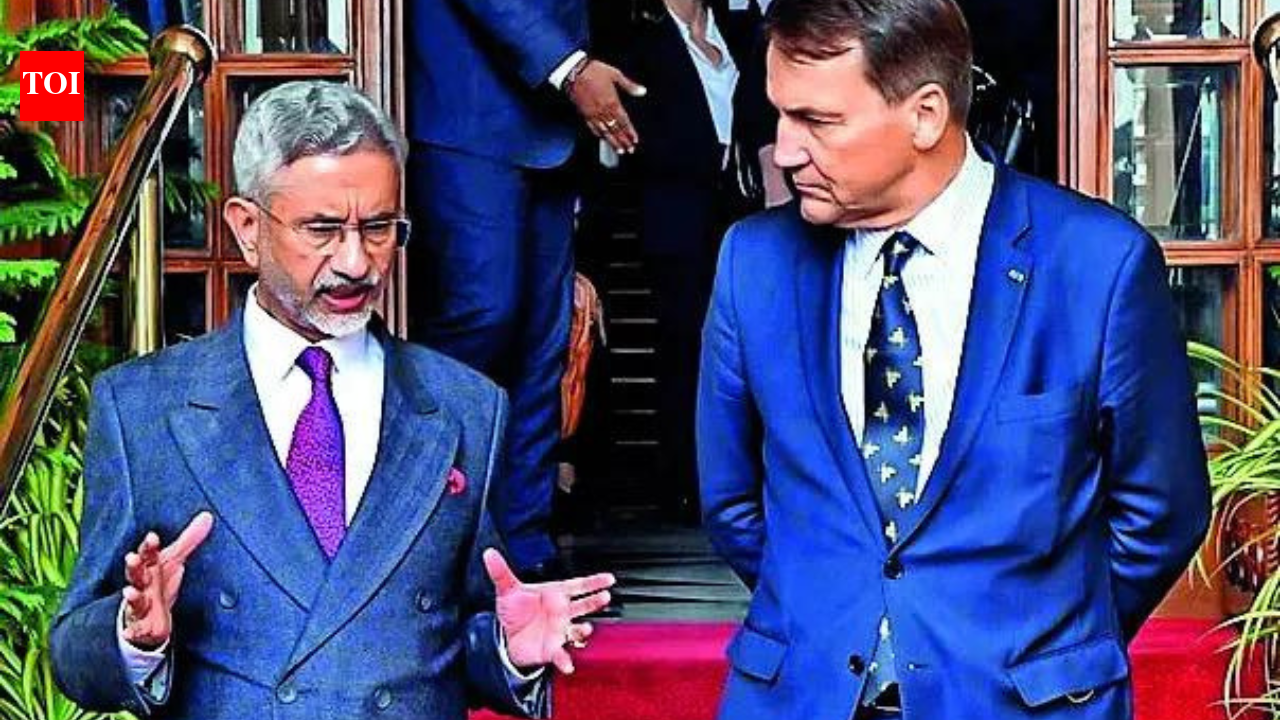 EAM to Poland: Stop fuelling terror infra