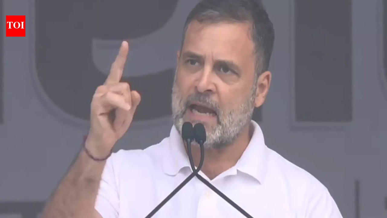 ‘Roads kill, bridges kill, fires kill’: Rahul Gandhi reacts to Noida techie death