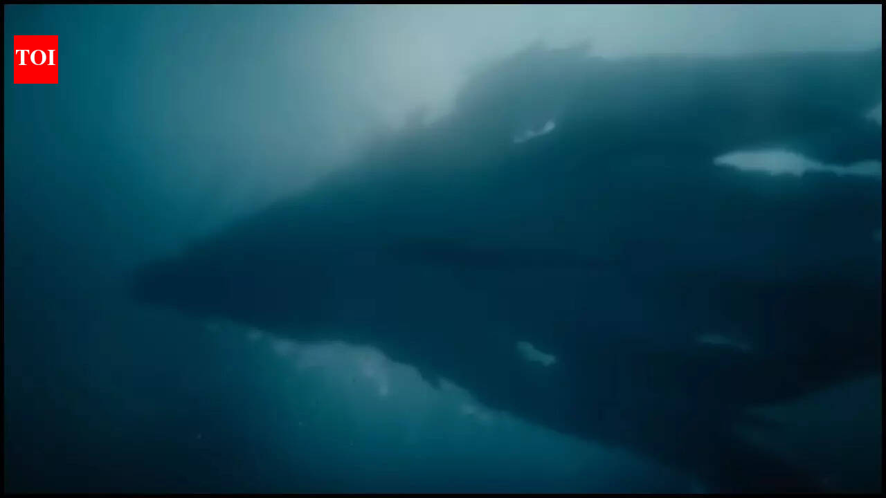 ‘Monarch: Legacy of Monsters 2’ pays an ode to the OG King Kong and Godzilla stories - Here’s what we know